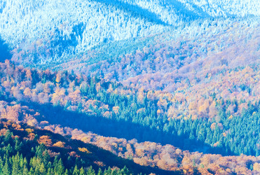 Similar image 528068