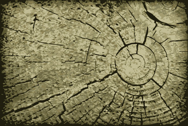 Similar image 528095