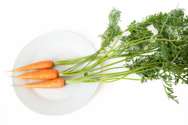 Similar image 528115