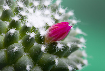 Similar image 528141