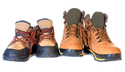 Similar image 528158