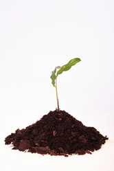 Similar image 528254