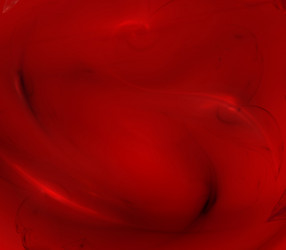 Similar image 528296