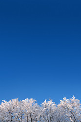 Similar image 528336