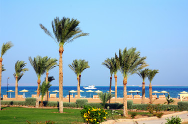 Similar image 528375