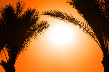 Similar image 528381