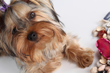 Similar image 528404