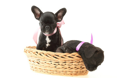 Similar image 528405