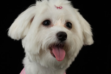 Similar image 528415