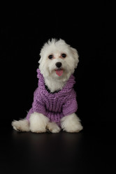 Similar image 528416