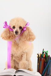 Similar image 528420