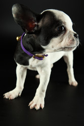 Similar image 528425