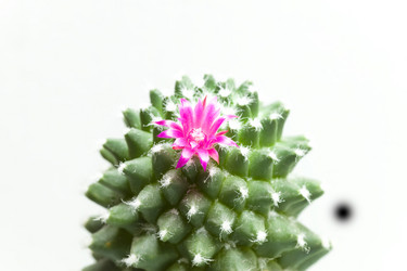 Similar image 528604