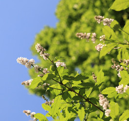 Similar image 528673