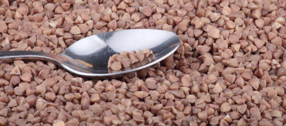 Similar image 528674