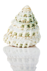 Similar image 528711