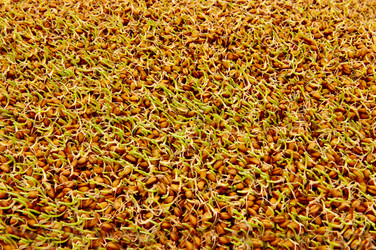 Similar image 528720