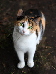 Similar image 528758