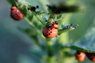 Similar image 528761