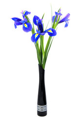 Similar image 528801