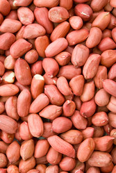 Similar image 528851