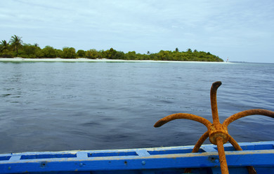 Similar image 528859