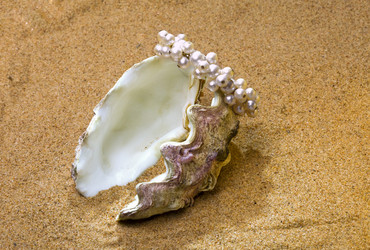 Similar image 528866