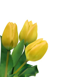 Similar image 528870