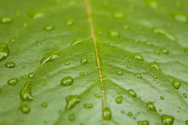 Similar image 528913