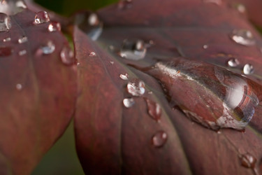 Similar image 528914