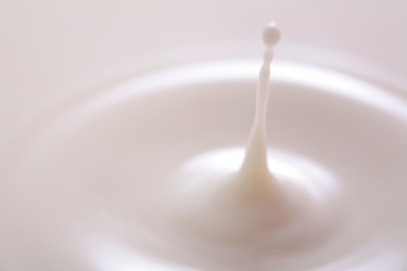 Similar image 528925