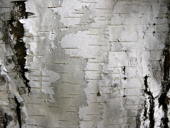 Similar image 528965