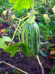 Similar image 529124