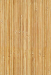 Similar image 529148