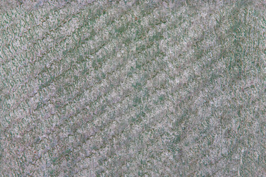 Similar image 529162