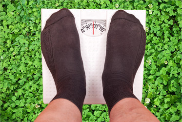 Similar image 529199