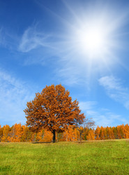 Similar image 529268