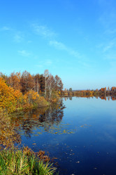 Similar image 529285