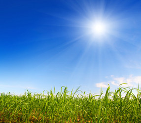 Similar image 529307