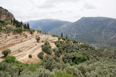 Similar image 529314