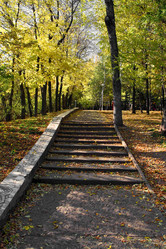 Similar image 529330