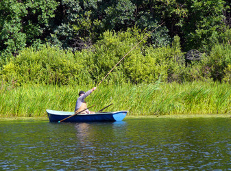 Similar image 529359