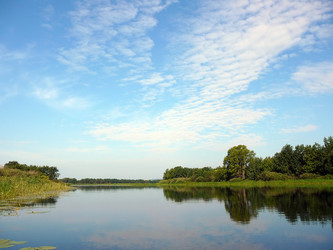 Similar image 529420