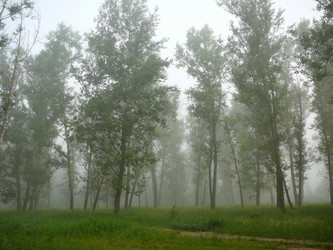 Similar image 529428