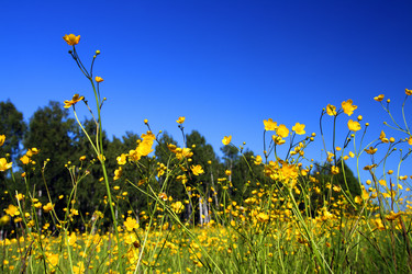 Similar image 529445