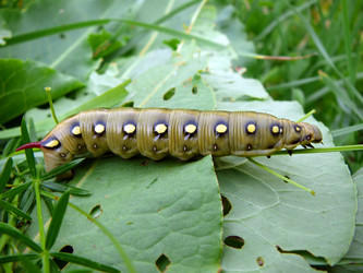 Similar image 529457