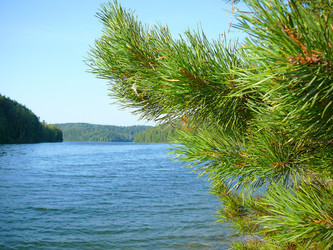 Similar image 529489