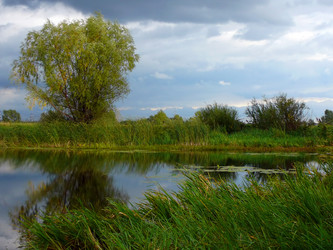 Similar image 529491