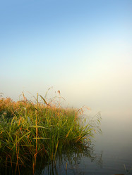 Similar image 529500