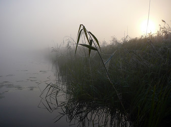 Similar image 529501